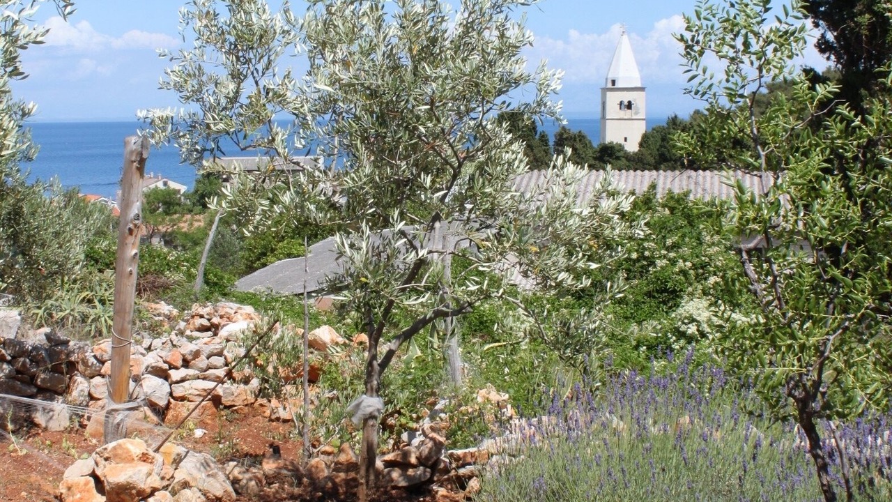 Photo of Outdoor in Cove Murtar
