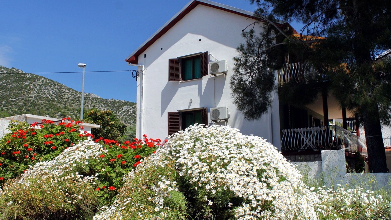 Photo of Outdoor in Zavala