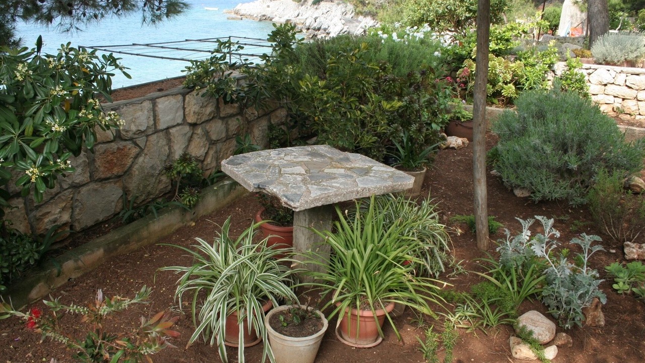Photo of Outdoor in Prizba