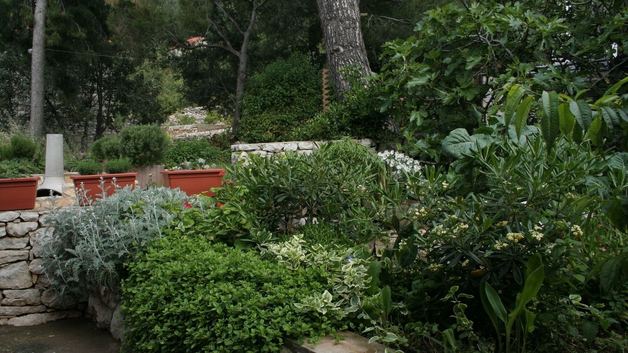 Photo of Outdoor in Prizba