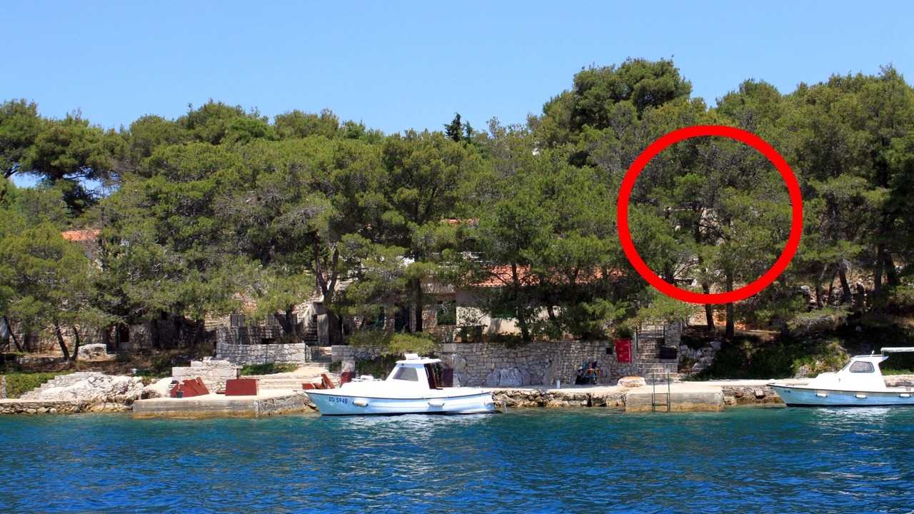 Photo of Others in Island Dugi Otok