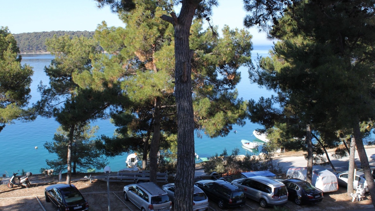 Photo of Others in Cove Murtar