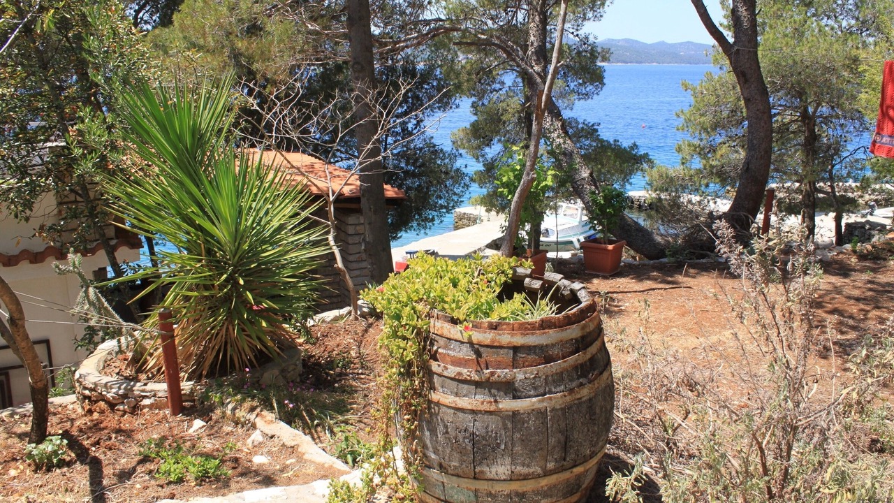 Photo of Outdoor in Island Dugi Otok