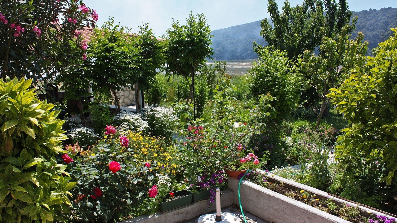 Photo of Outdoor in Suha Punta