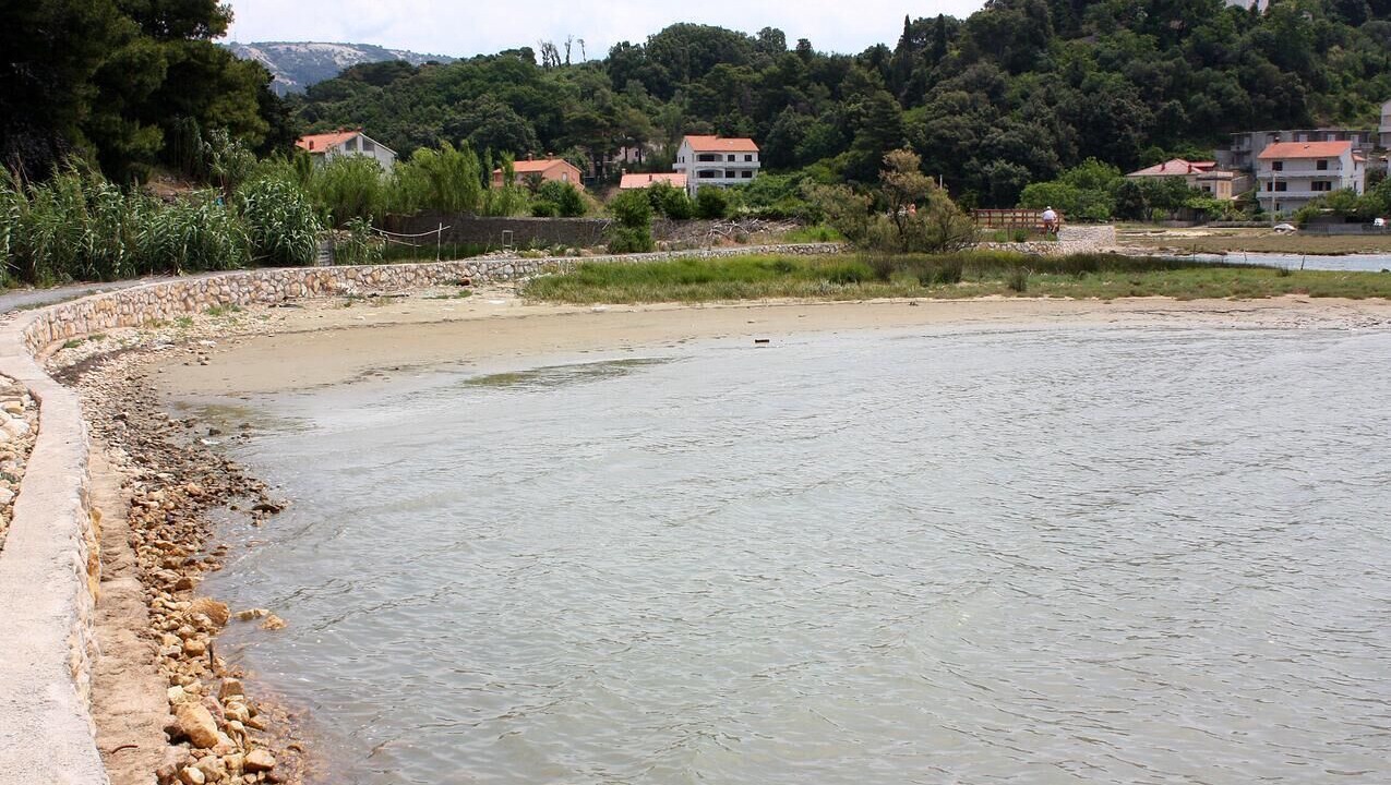 Photo of Others in Suha Punta