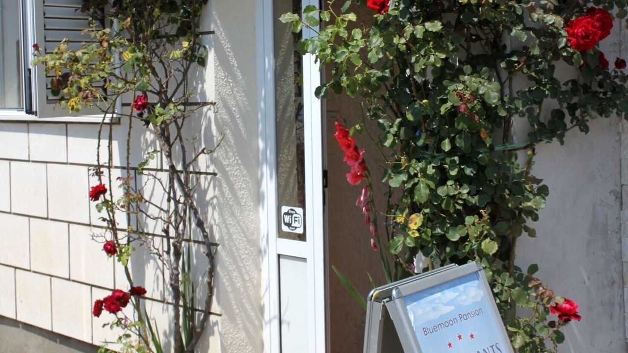 Photo of Outdoor in Molunat