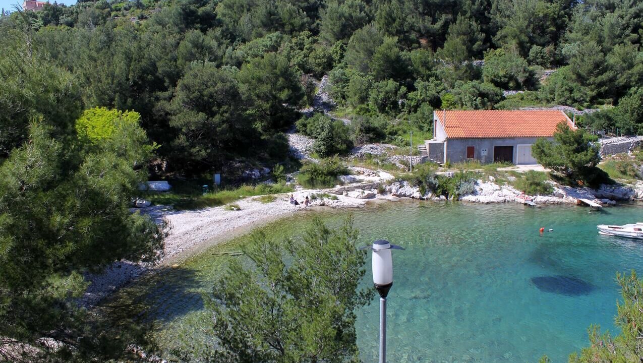 Photo of Others in Cove Murtar