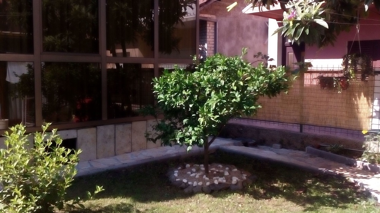 Photo of Outdoor in Zaboric