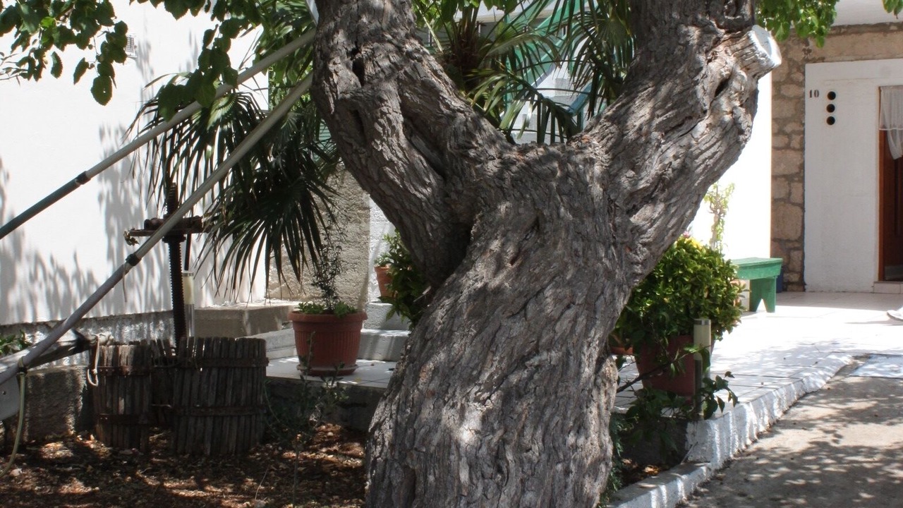 Photo of Outdoor in Kali