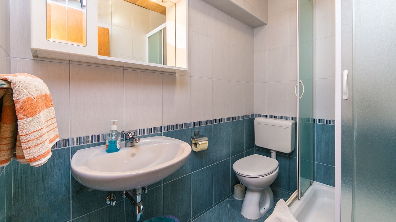 Photo of Bathroom in Brela