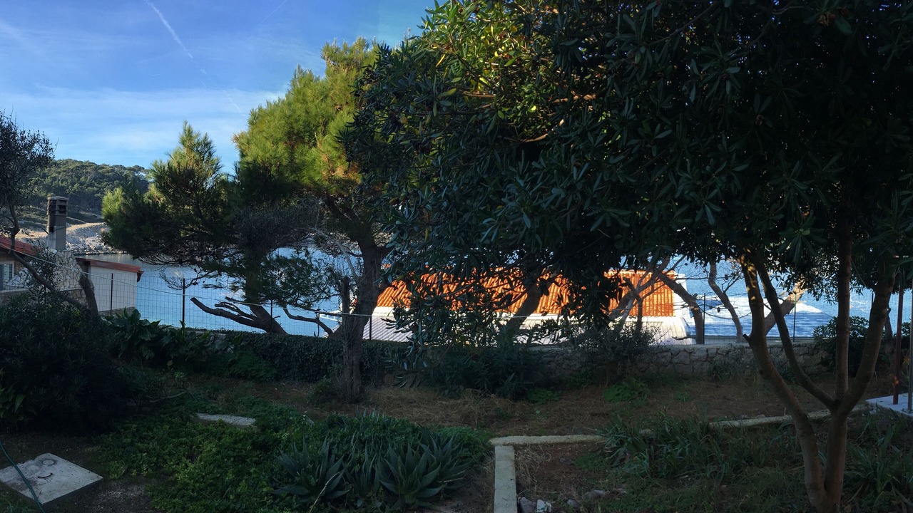 Photo of Others in Cove Murtar