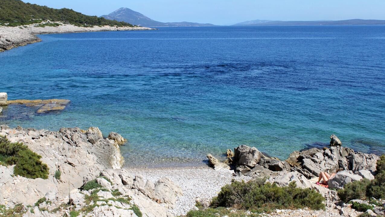 Photo of Others in Cove Murtar