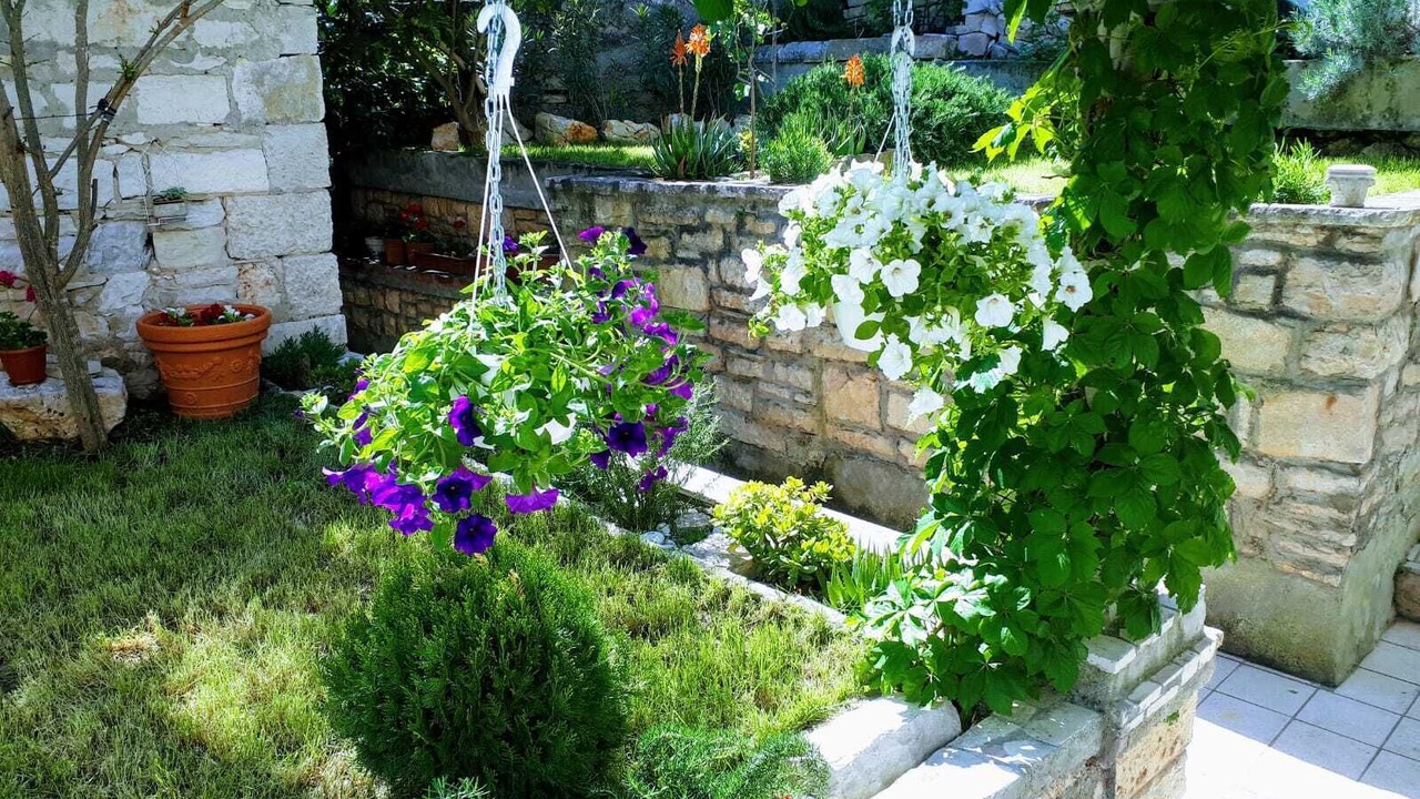Photo of Outdoor in Cove Tri Zala (Zrnovo)
