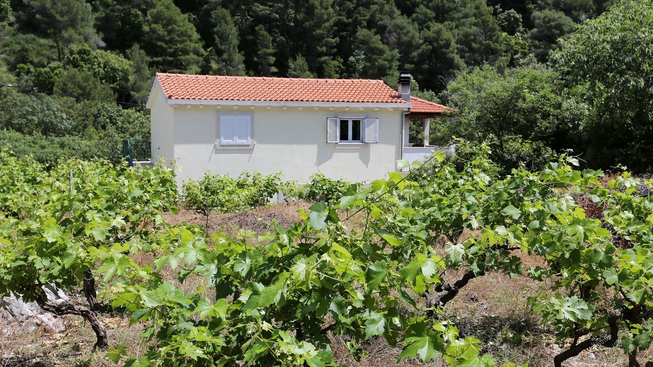 Photo of Outdoor in Trstenik