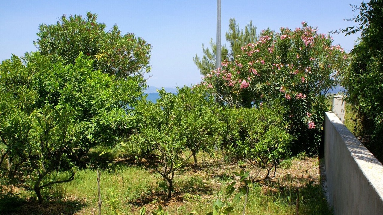Photo of Outdoor in Drace