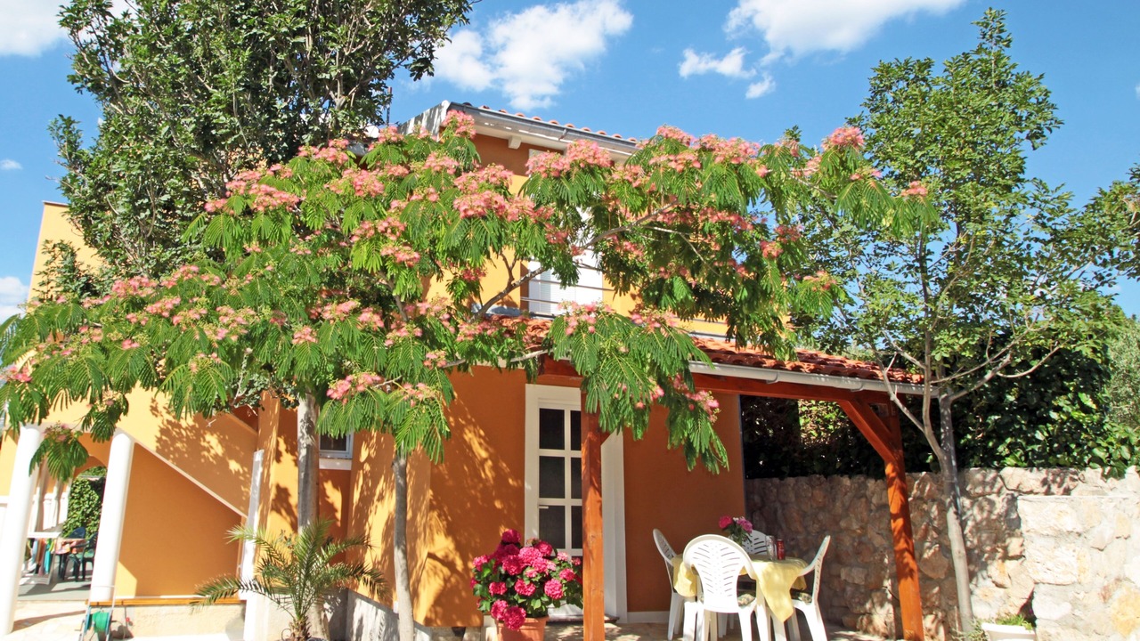 Photo of Outdoor in Vinjerac