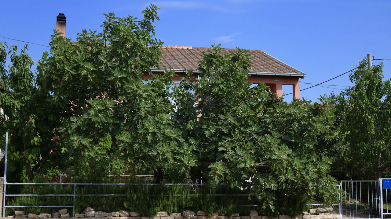 Photo of Outdoor in Gornji Karin