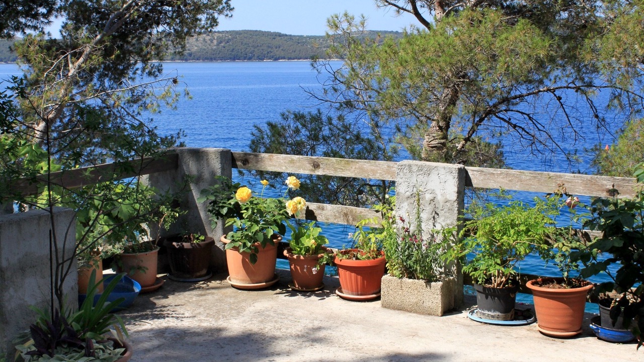 Photo of Outdoor in Island Dugi Otok
