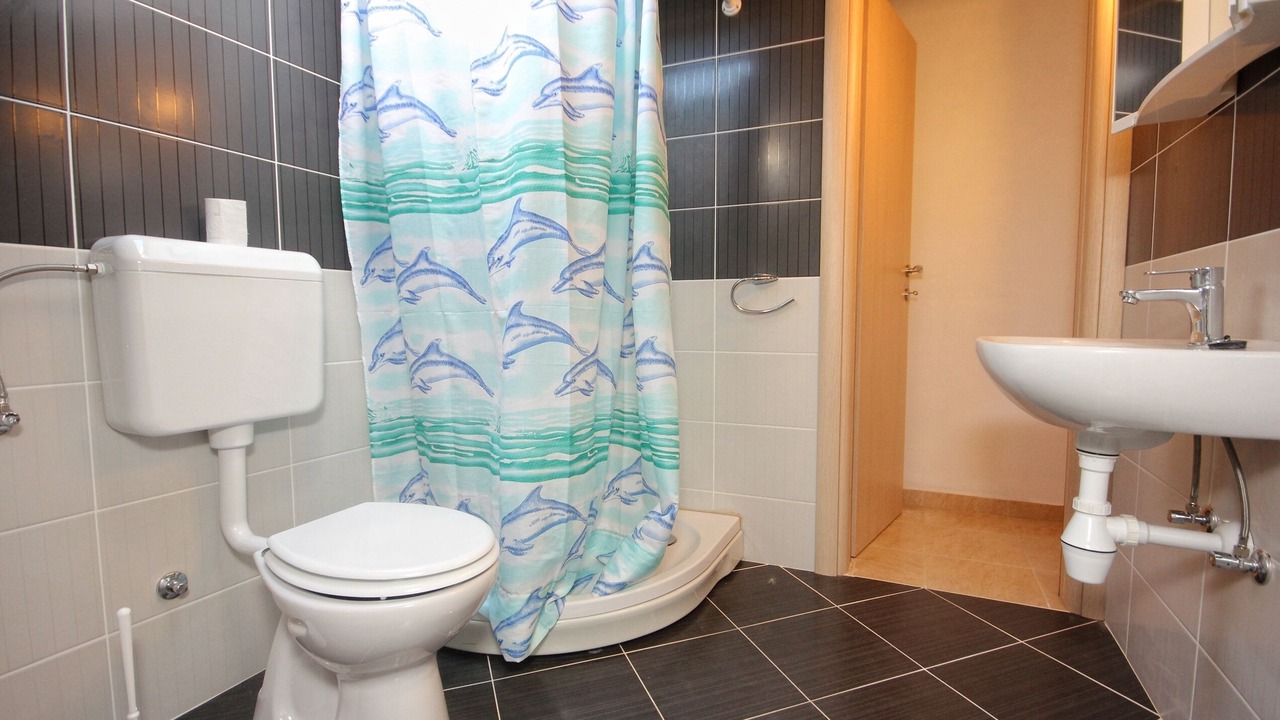 Photo of Bathroom in Vlasici