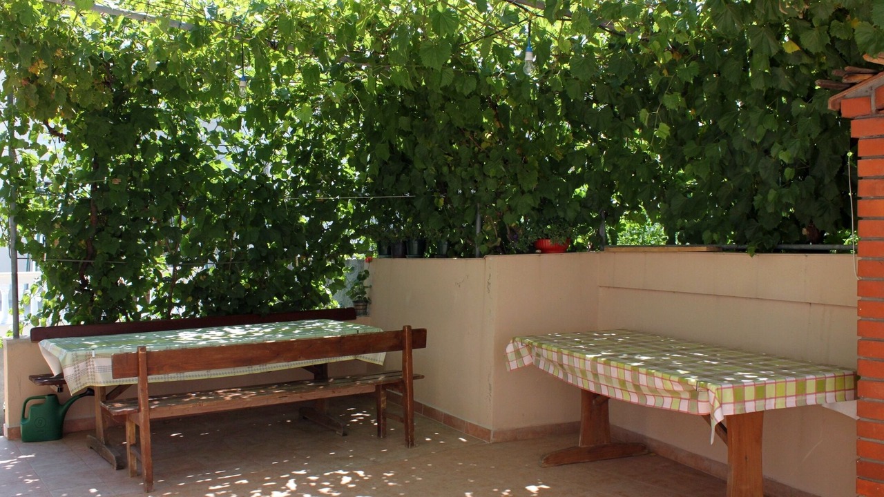 Photo of Outdoor in Island Dugi Otok