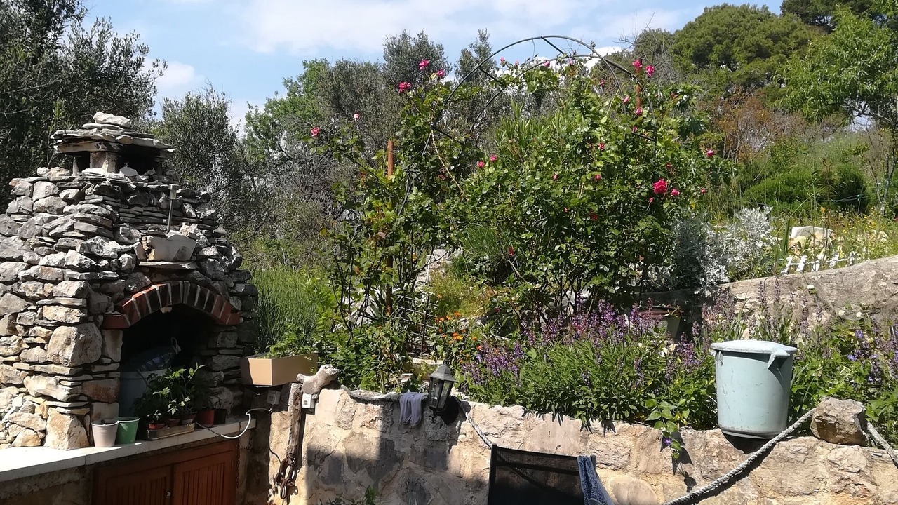 Photo of Outdoor in Susica
