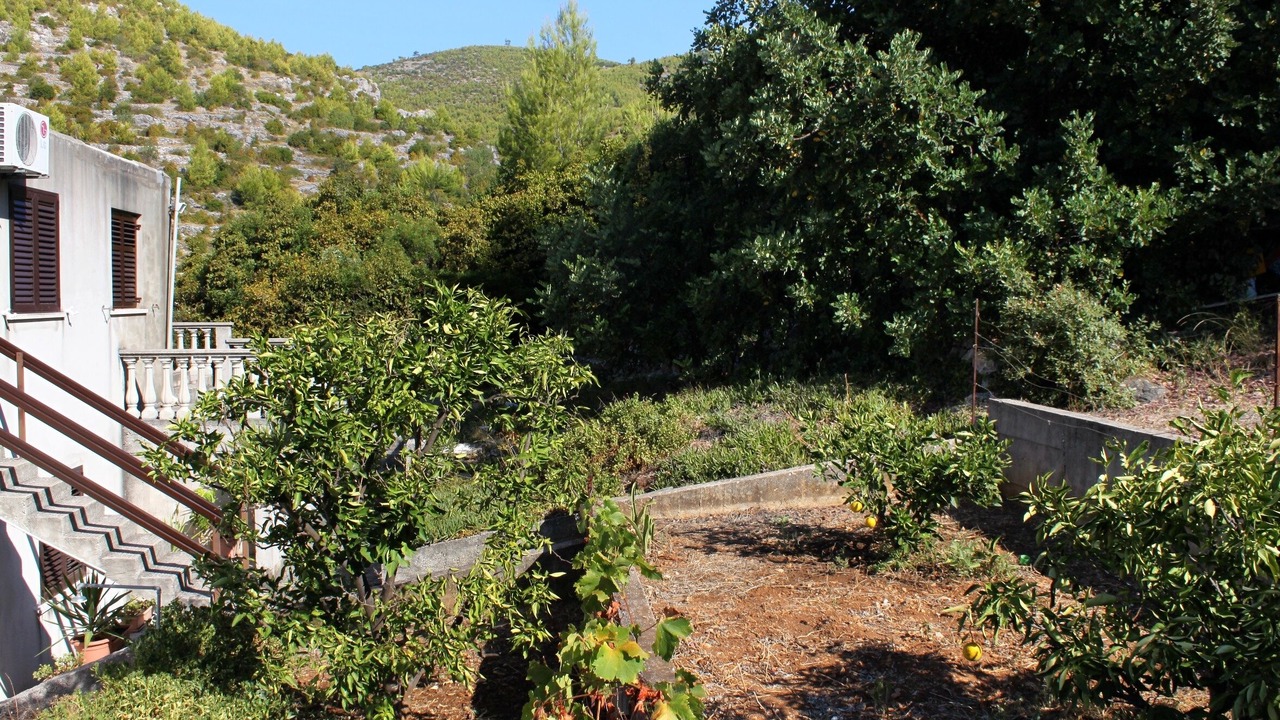 Photo of Outdoor in Prizba