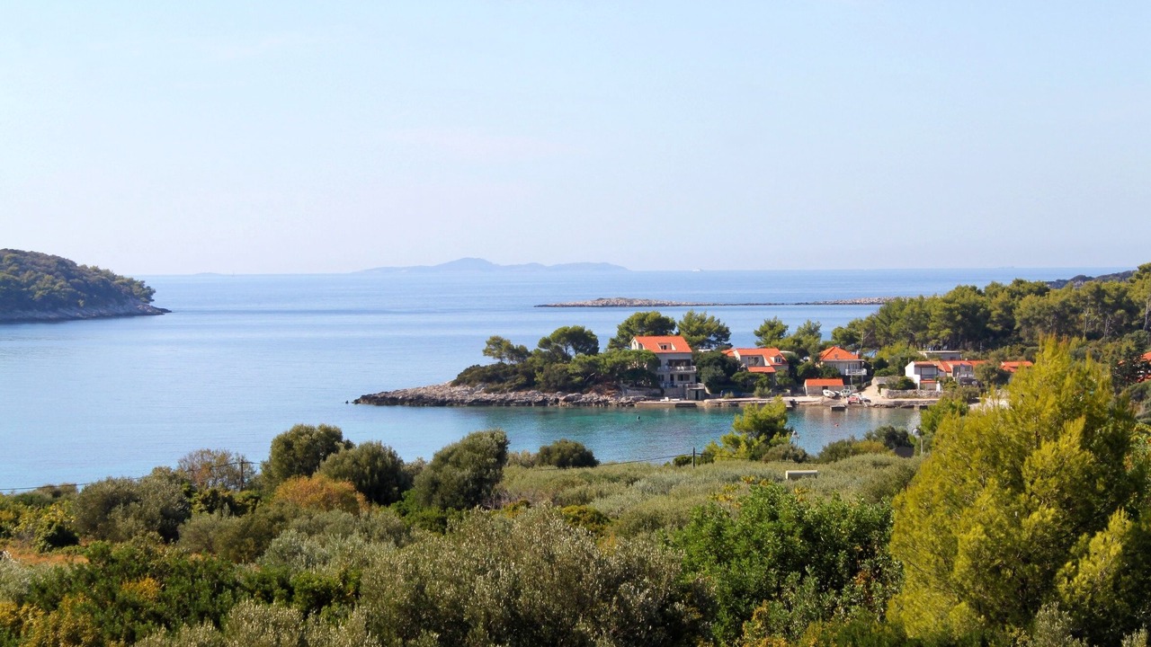 Photo of Others in Prizba