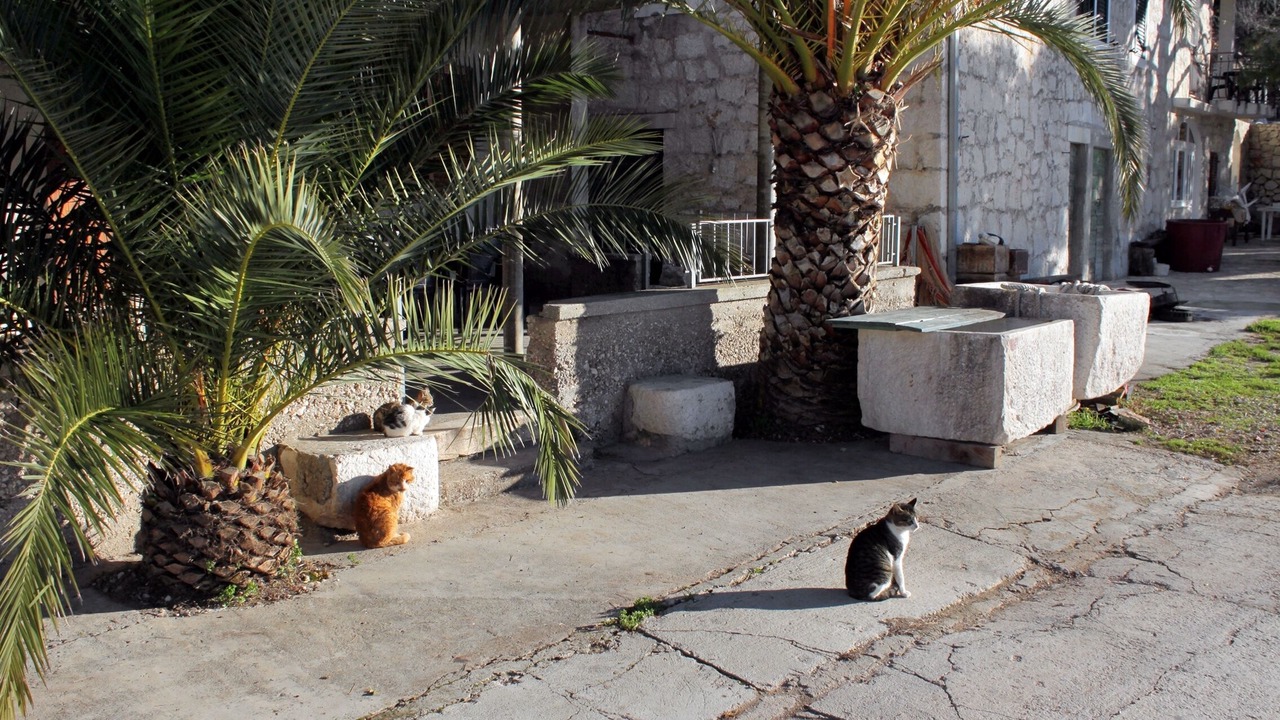 Photo of Outdoor in Razanj
