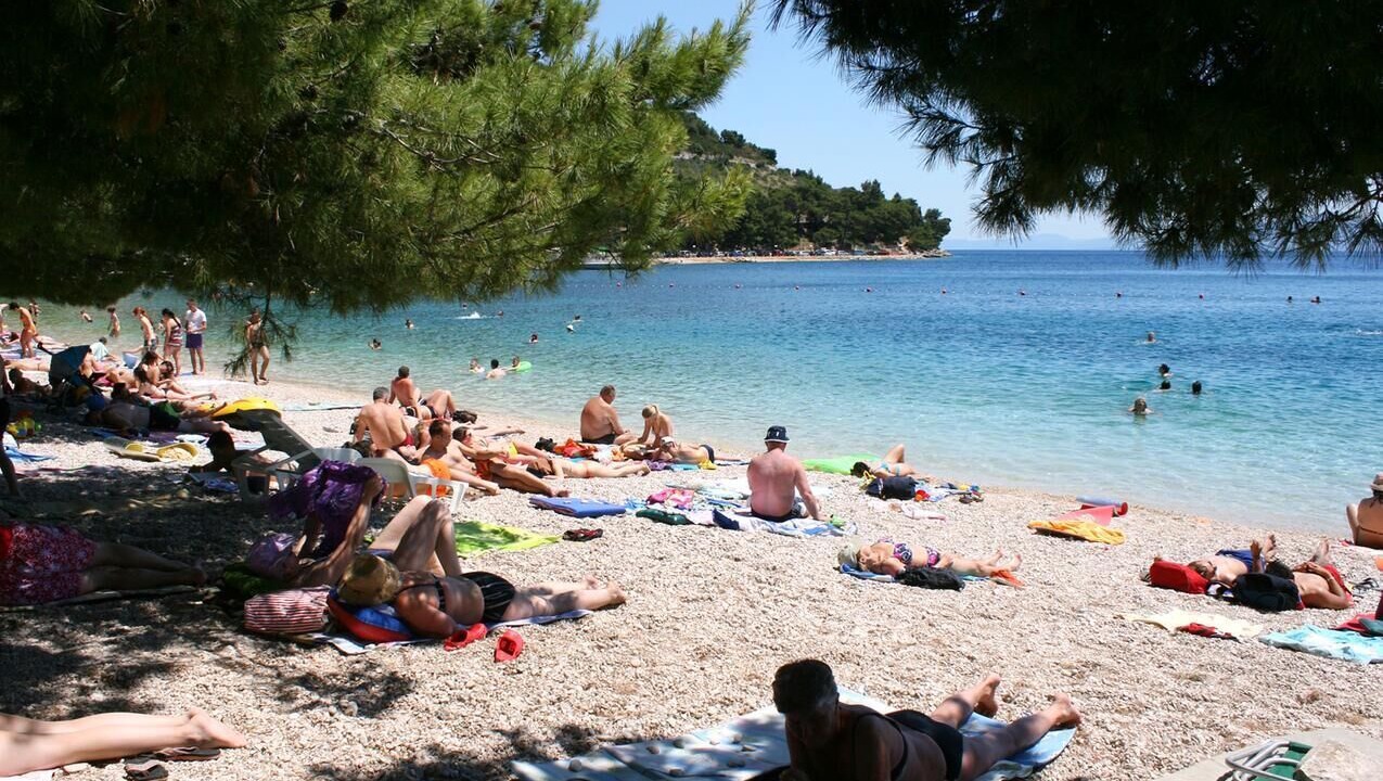 Photo of Others in Zaostrog