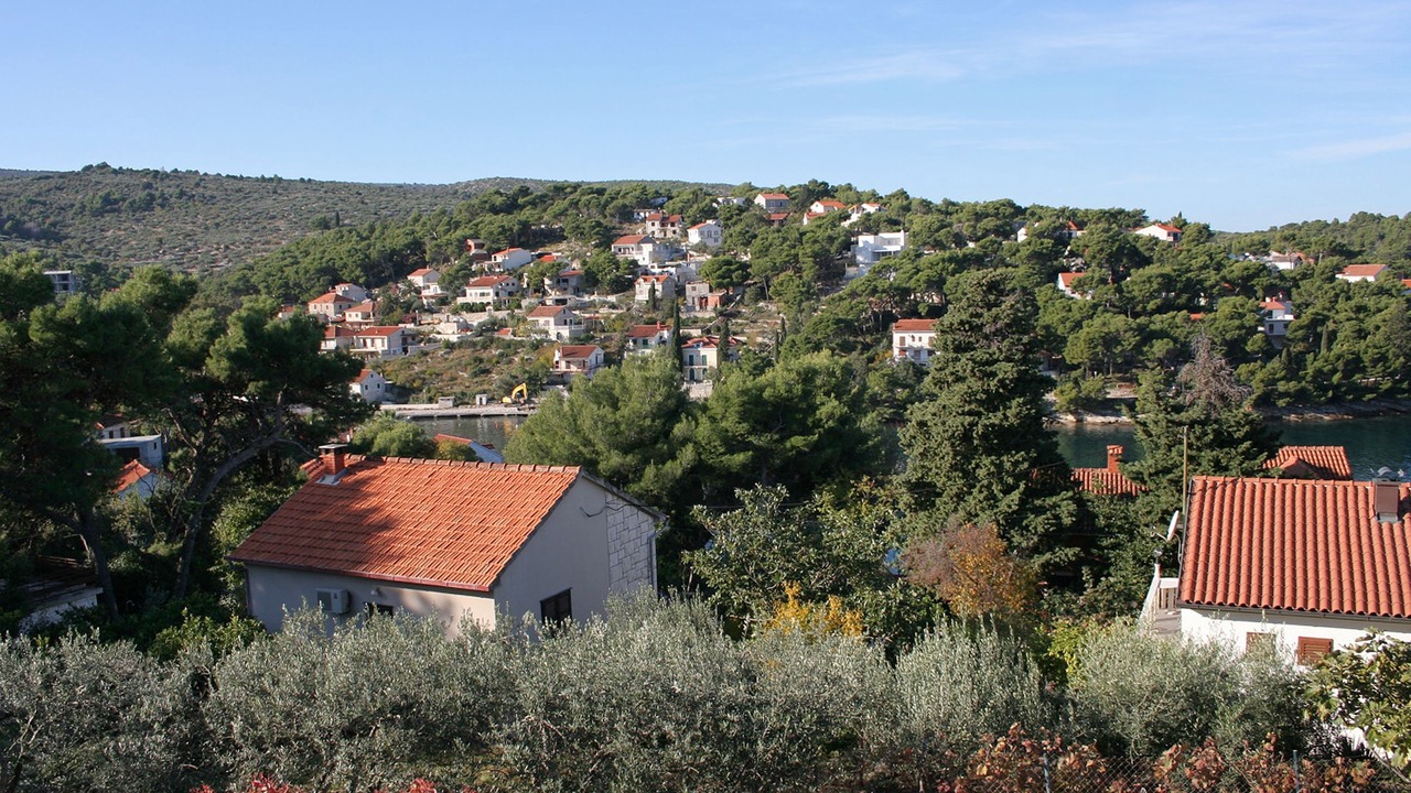 Photo of Others in Splitska