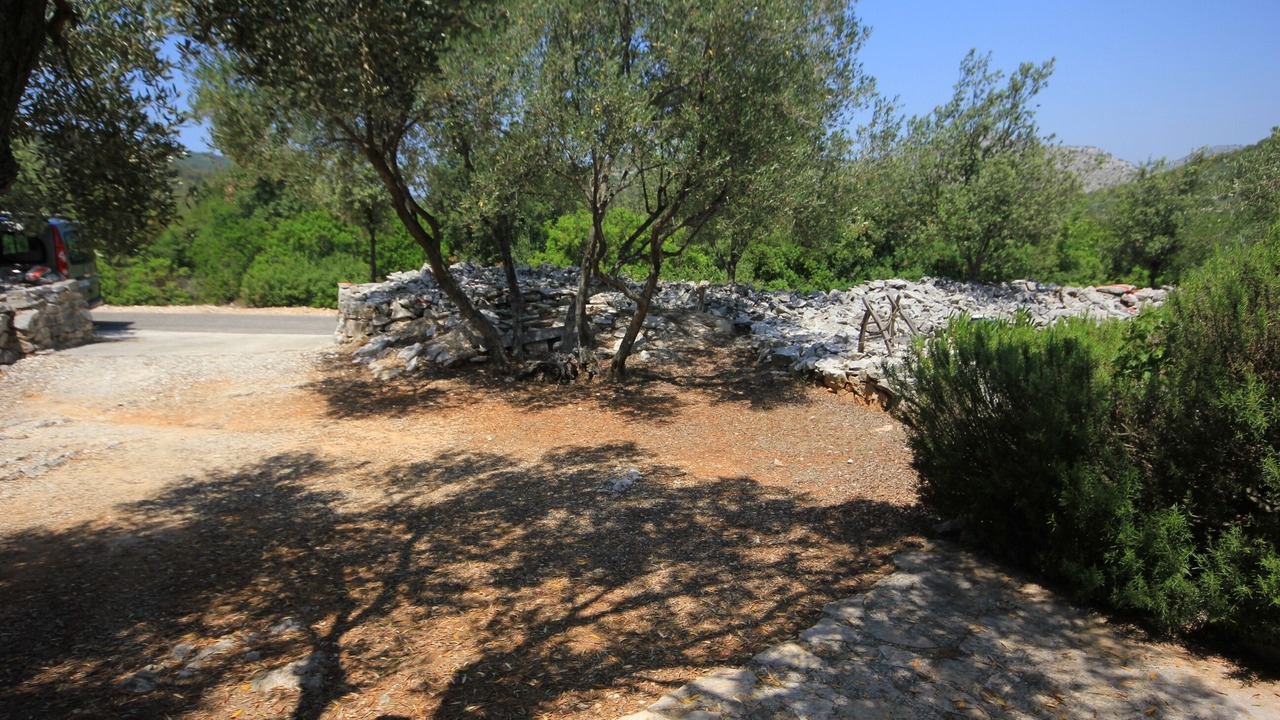 Photo of Others in Island Dugi Otok
