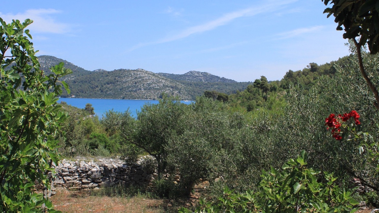 Photo of Others in Island Dugi Otok