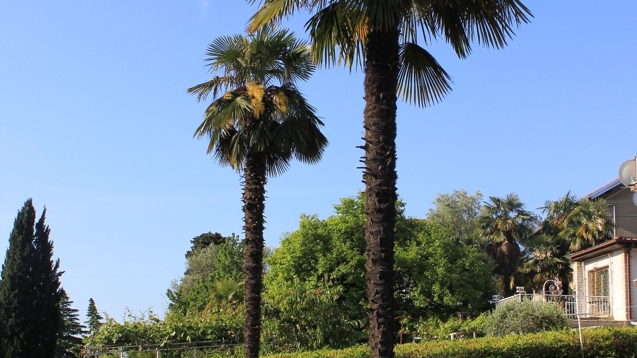 Photo of Outdoor in Lovran