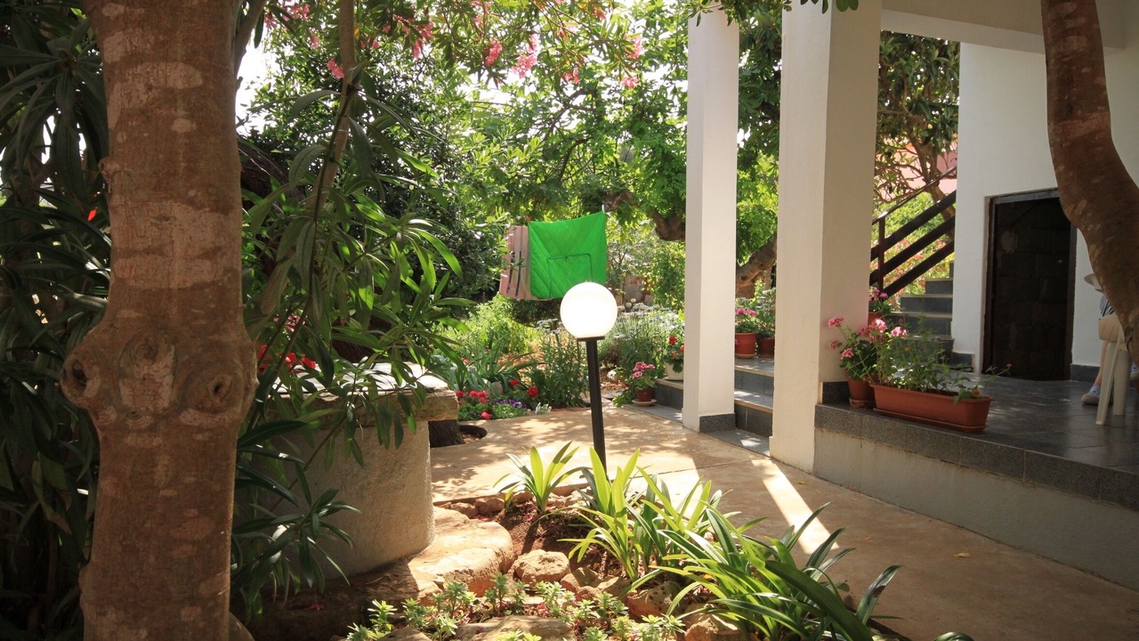 Photo of Outdoor in Ugljan