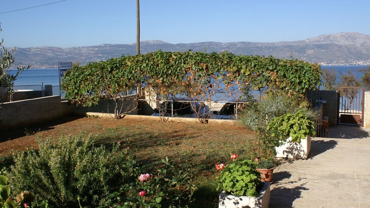 Photo of Outdoor in Slatine
