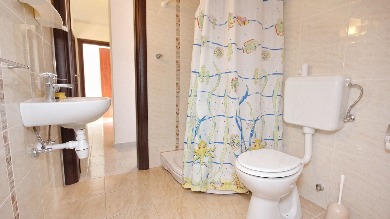 Photo of Bathroom in Vlasici