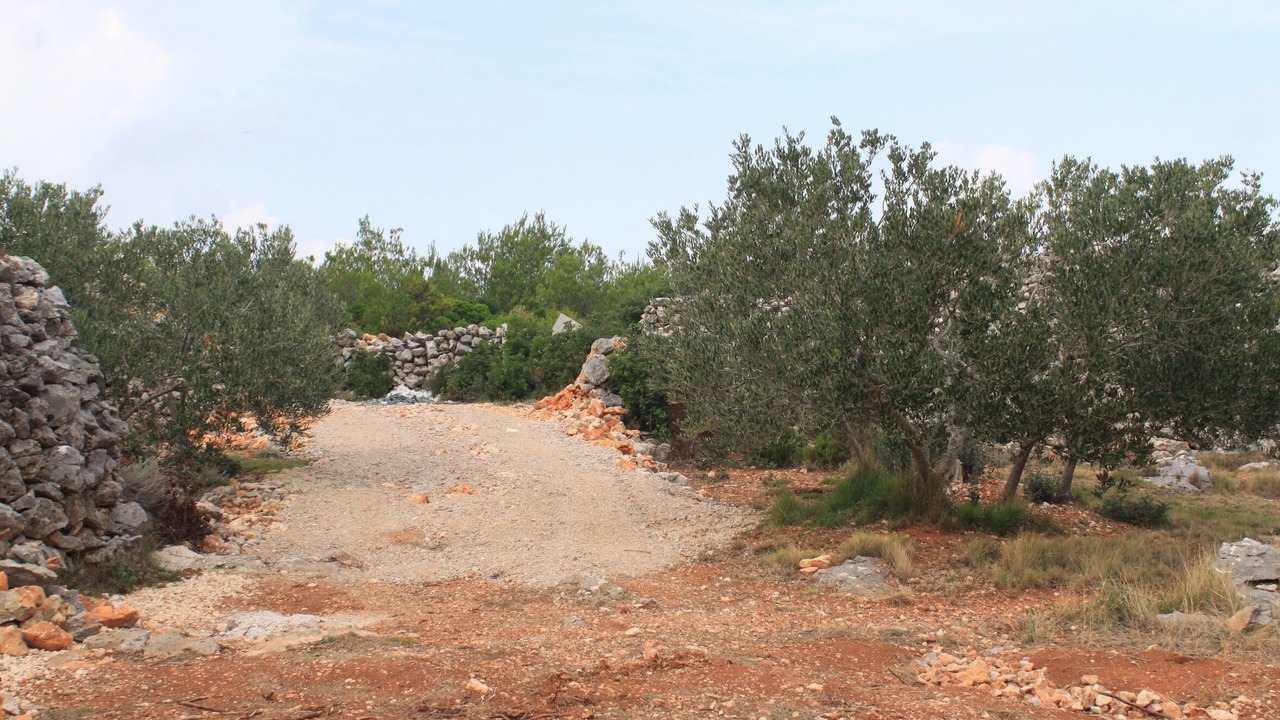 Photo of Others in Nevidane