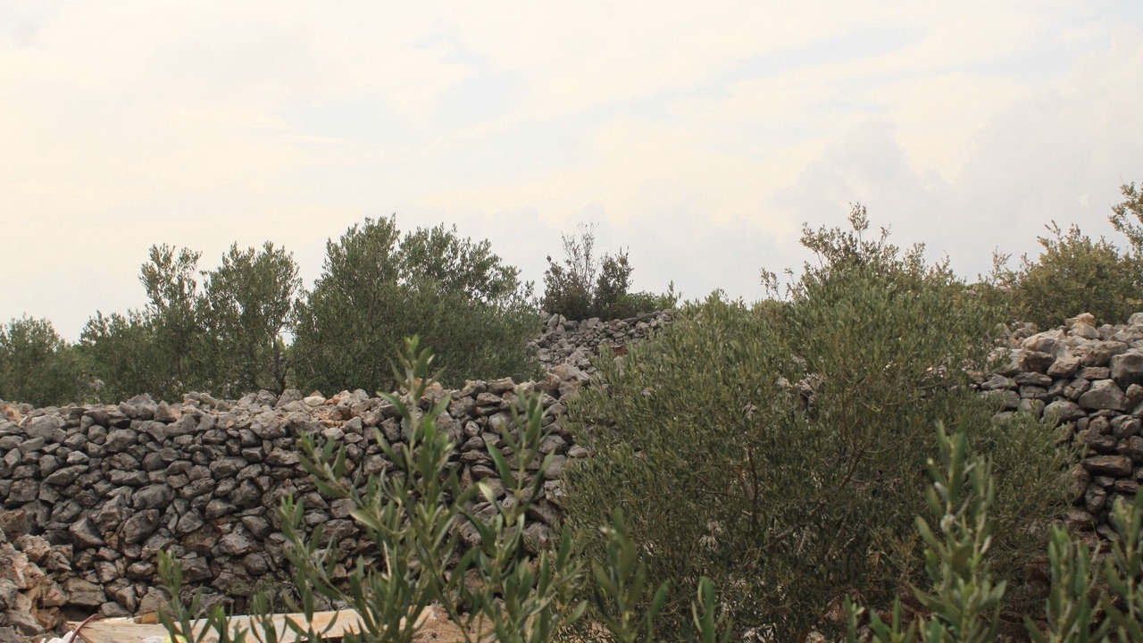 Photo of Others in Nevidane