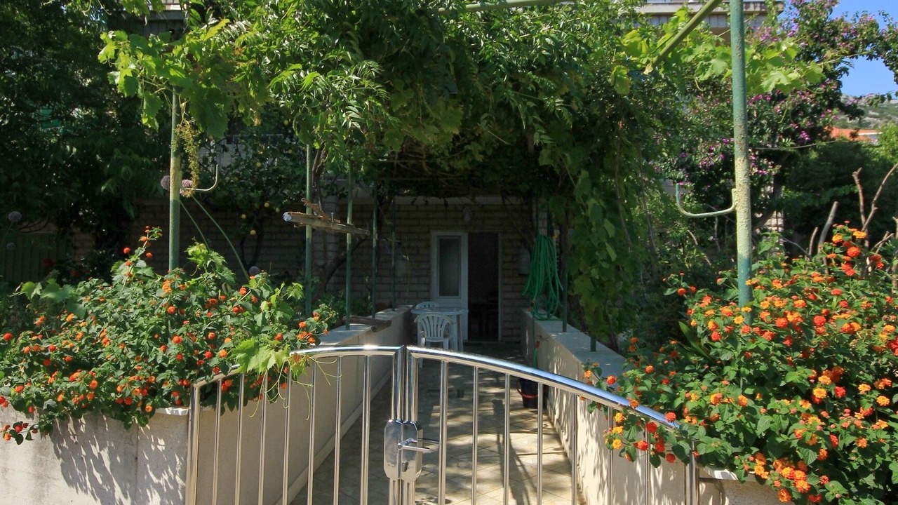 Photo of Outdoor in Viganj