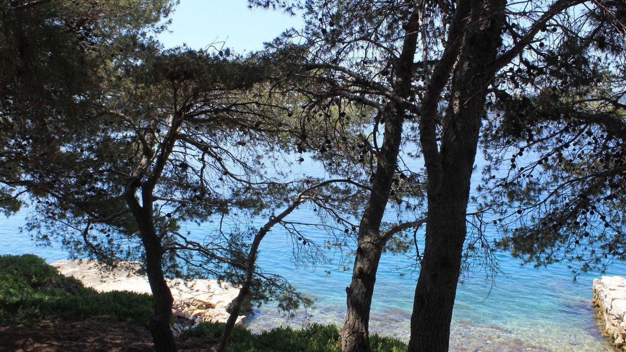 Photo of Others in Island Dugi Otok