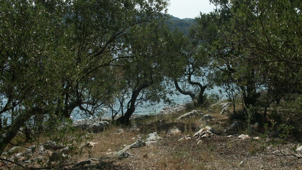 Photo of Outdoor in Zman