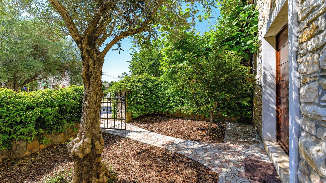 Photo of Outdoor in Materada