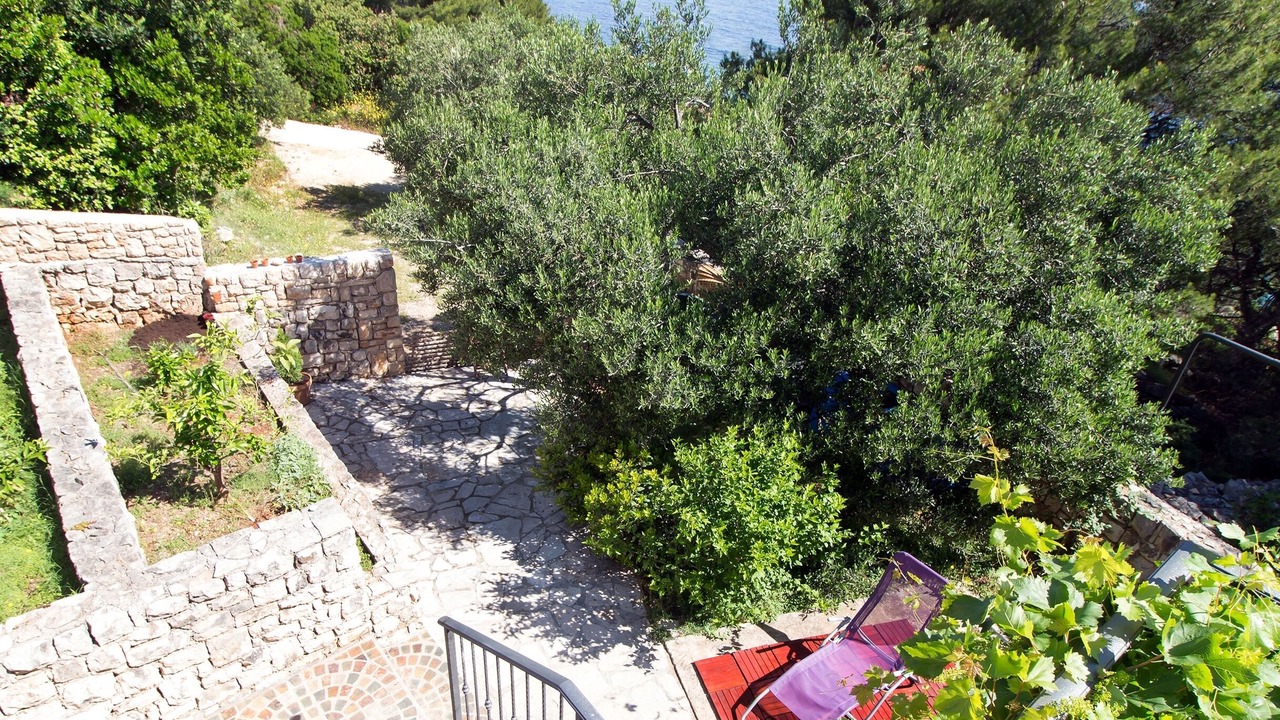 Photo of Outdoor in Donje Selo