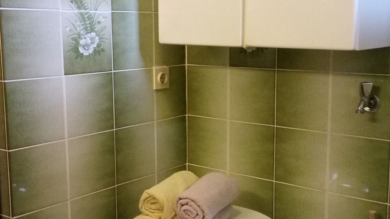 Photo of Bathroom in Pirovac