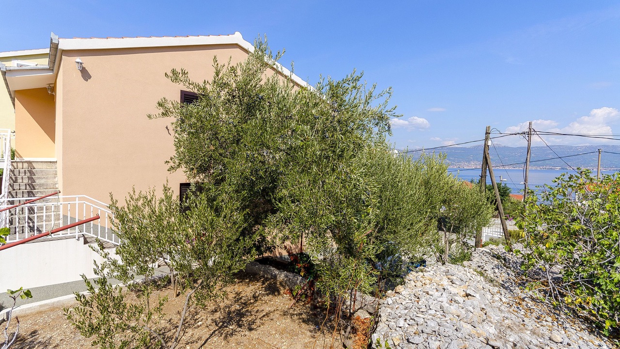 Photo of Outdoor in Slatine