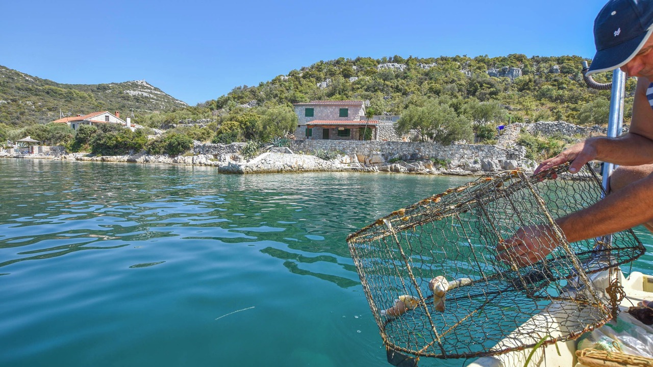 Photo of Outdoor in Tkon