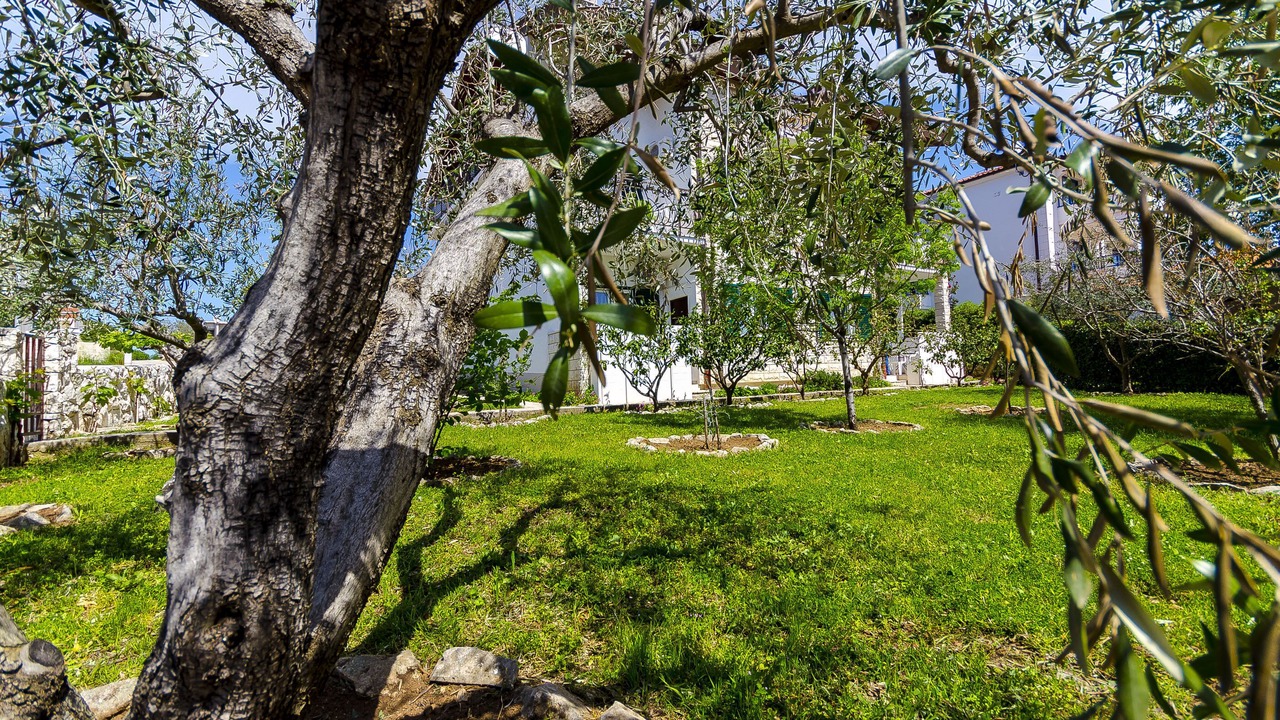 Photo of Outdoor in Okrug Gornji