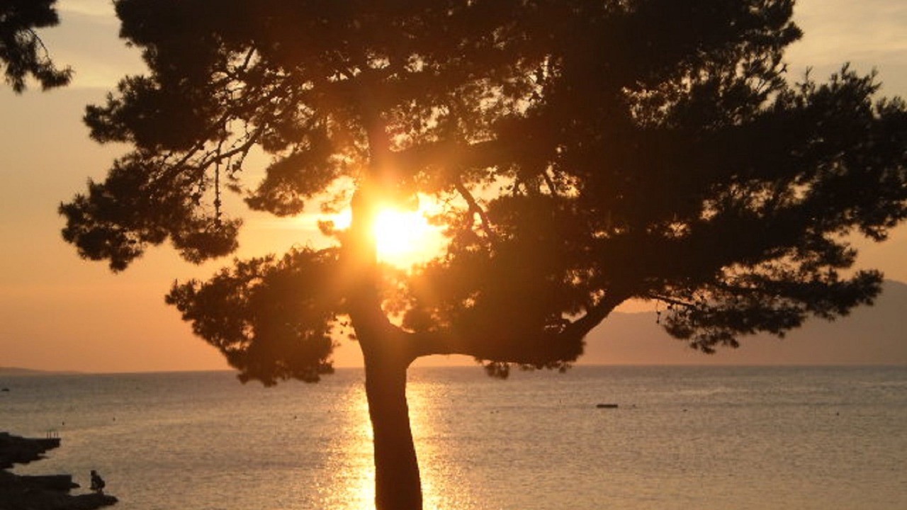 Photo of Others in Makarska Old Town