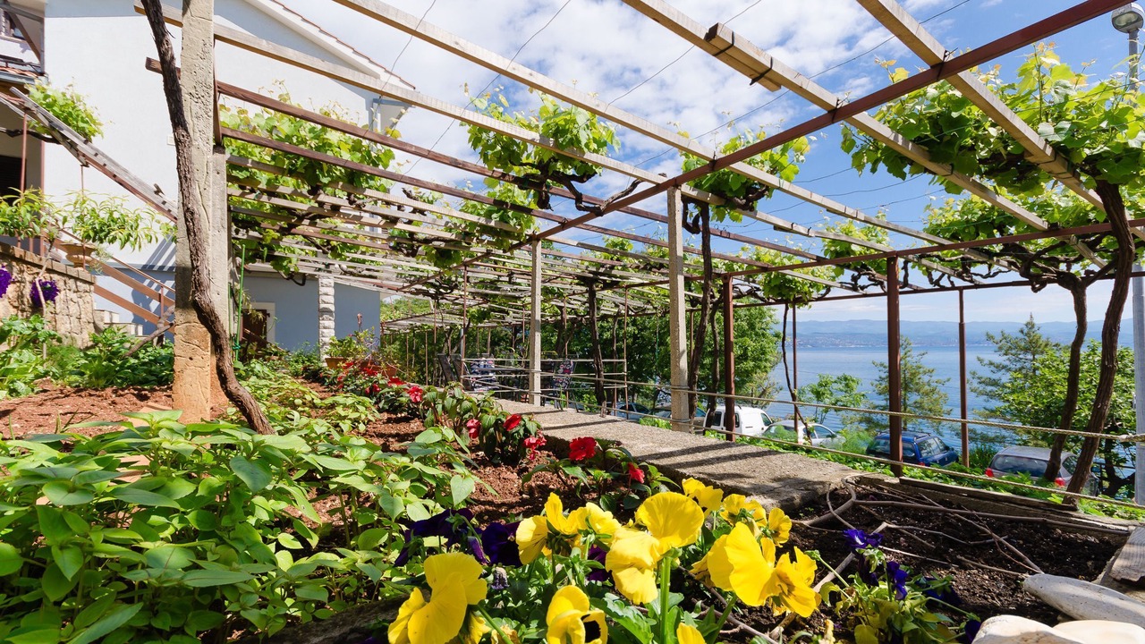 Photo of Outdoor in Tulisevica