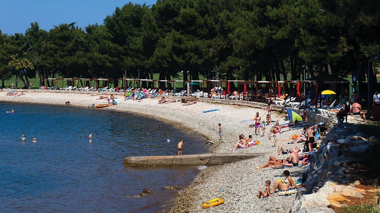 Photo of Others in Novigrad